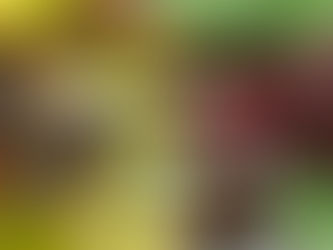 Commercial Coffee vs Specialty Coffee