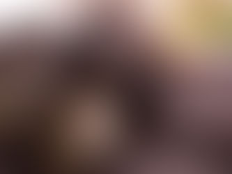 Empacadora de aguacate en México: el valor detrás de cada fruto Terravo