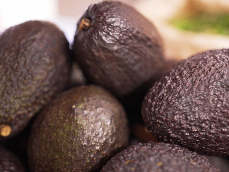 Empacadora de aguacate en México: el valor detrás de cada fruto Terravo