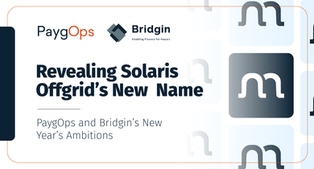 CEO's Statement: Revealing our Company's New Name + New Year's Ambitions