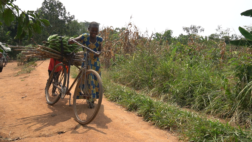 PaygOps for solar water pumps and agri-services distributors