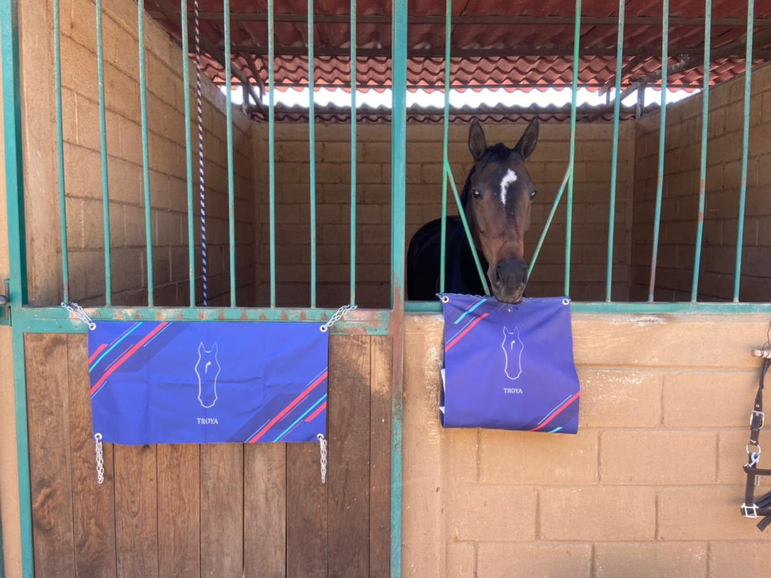 Horse approved!