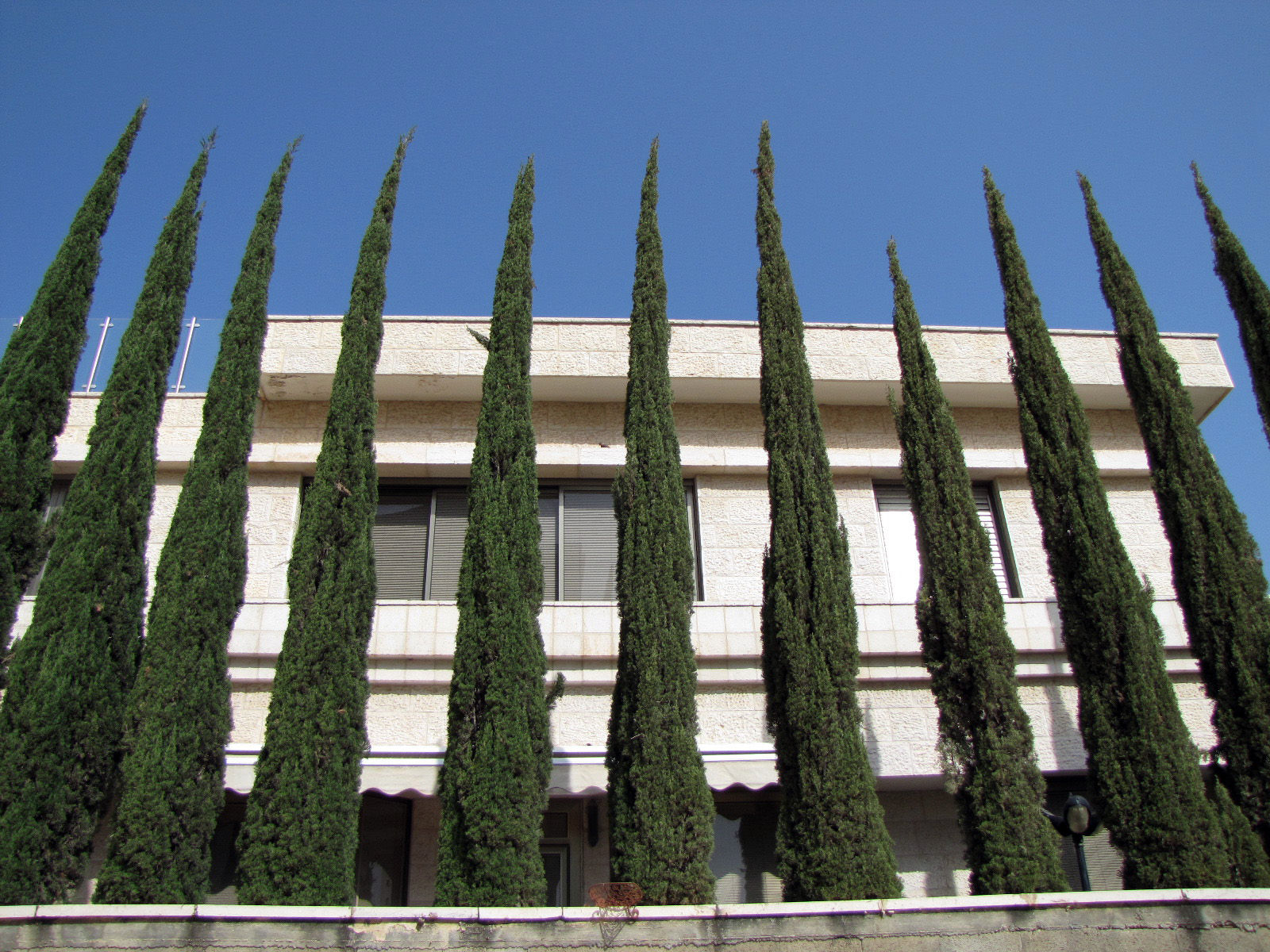 תערוכת "חלון מזוית אחרת" - תערוכת חוצות שד' דב הוז