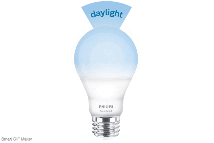 Master LED Bulb