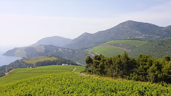 Southern Dalmatia by Drago Travel.jpg