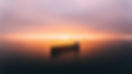 ian-simmonds-XrDbdmqsPdk-unsplash.jpg