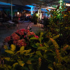 IMG20220708224802.jpg
