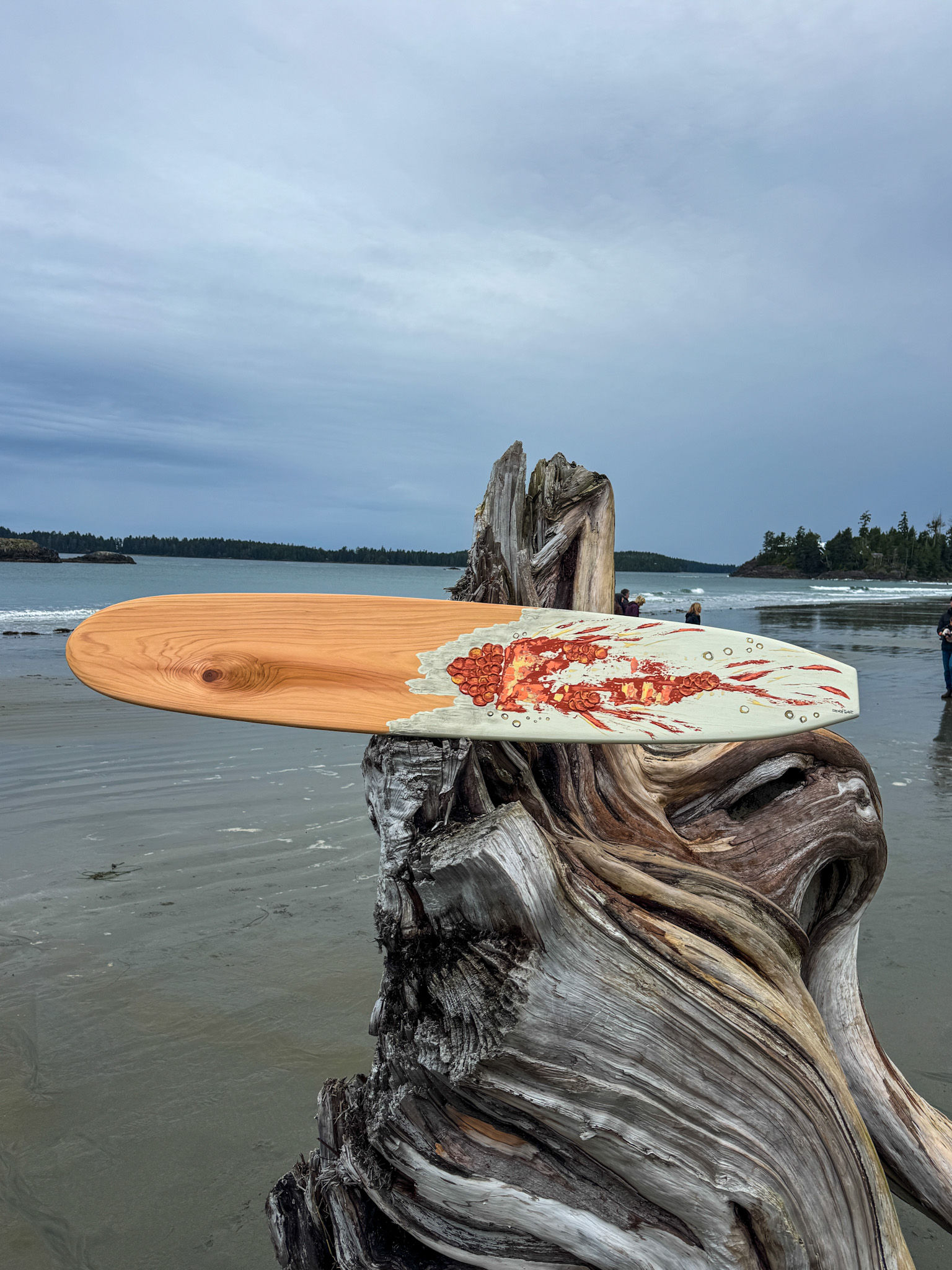 Ember Scales - Decorative Wooden Surfboard - Wall Art