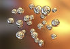 AdobeStock_168739528.jpeg