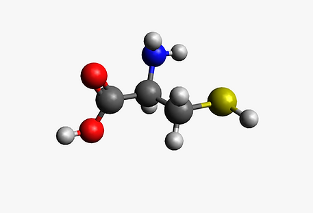 cysteine-2.PNG