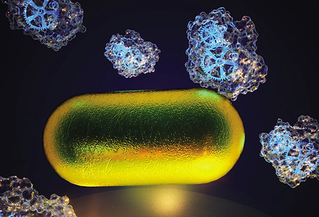 cover ACS ANM.jpg