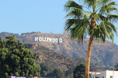 La creatividad agoniza…al menos en Hollywood