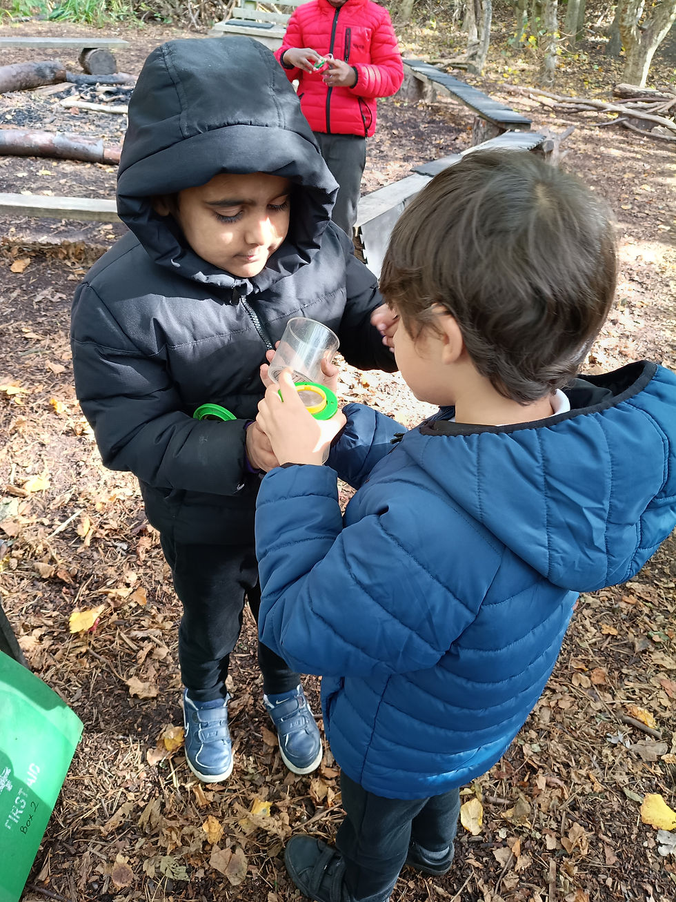 Year 2 Visit to Scotswood Garden