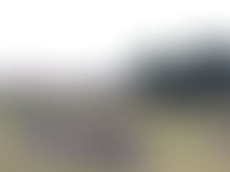 Teddy Bear’s Picnic