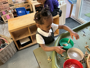 Week Beginning 26th January 2026