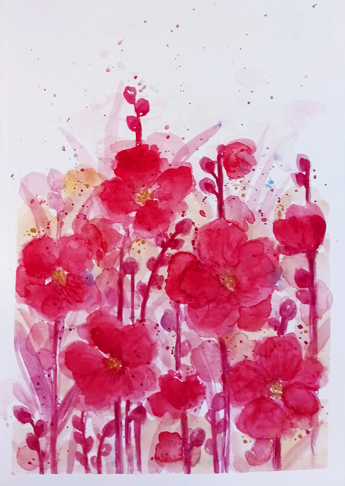 Red poppies