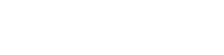 All Client Logos (Grey)-11_edited.png