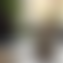 Kaffeetasse auf dem Schreibtisch im Hintergrund steht ein aufgeklapptes MacBook