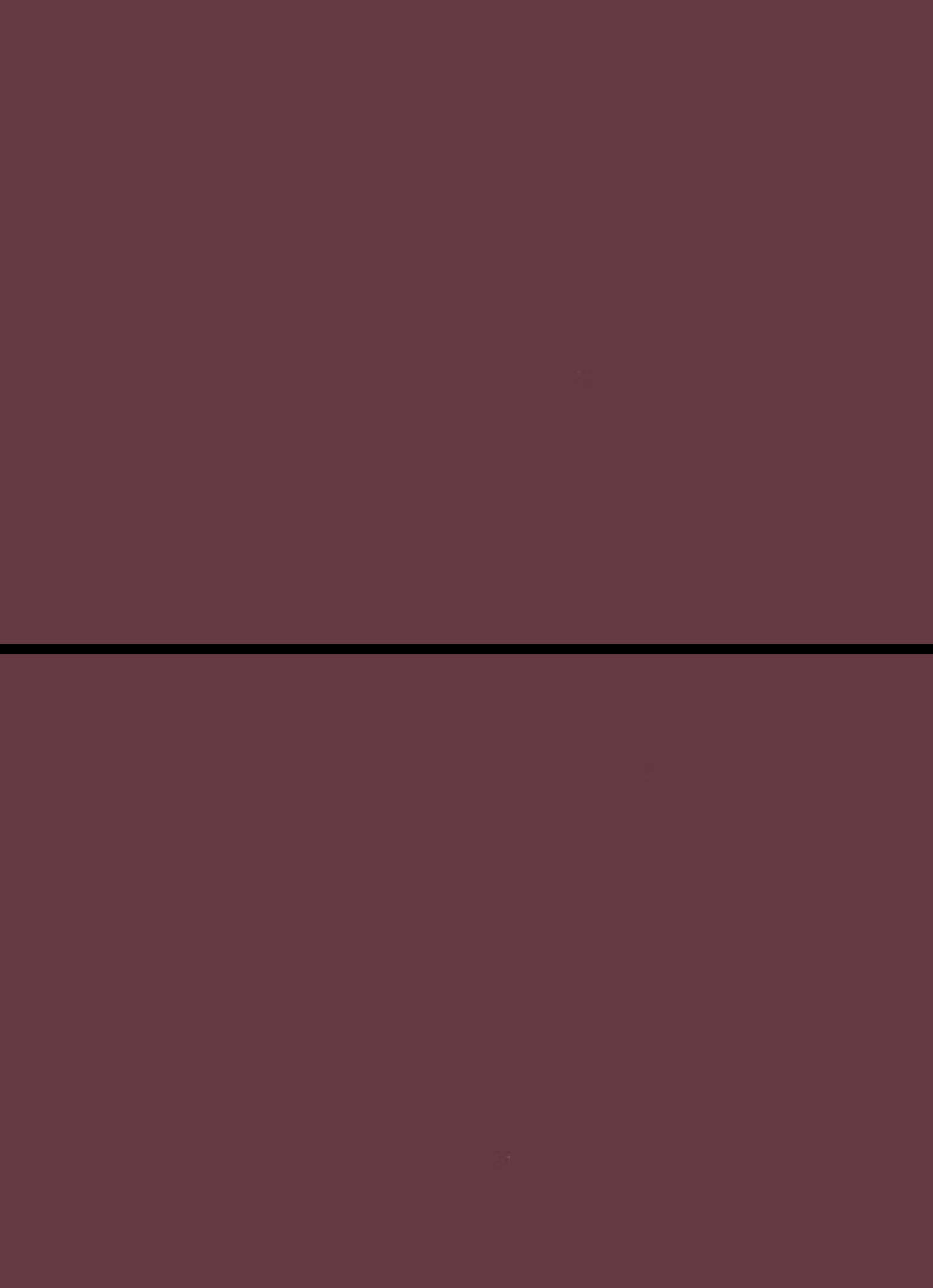 Digital mockup of an invitation straight style pocket in a deep wine color.