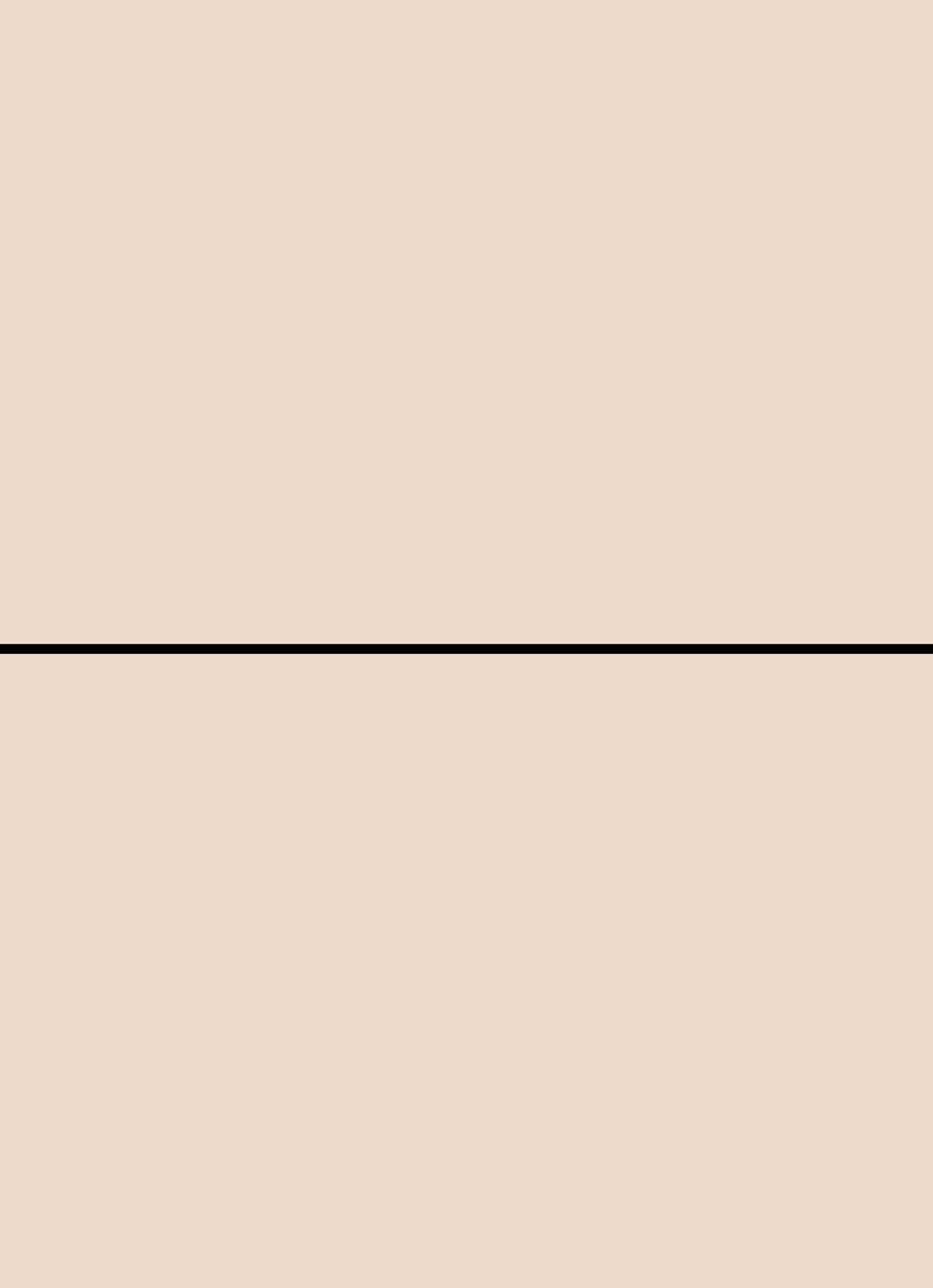 Digital mockup of an invitation straight style pocket in a warm beige color.