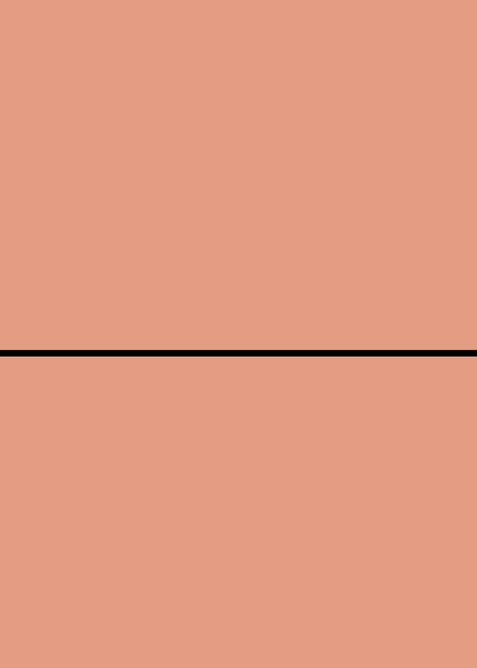 Thumbnail: Digital mockup of a straight style wedding invitation pocket in a terracotta color.