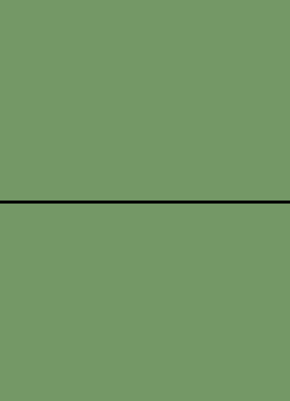 Digital mockup of an invitation straight style pocket in a matcha green color.