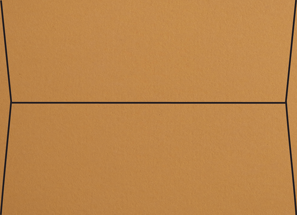 Blank Straight Envelopes Marigold (Set of 10) (Ungummed)