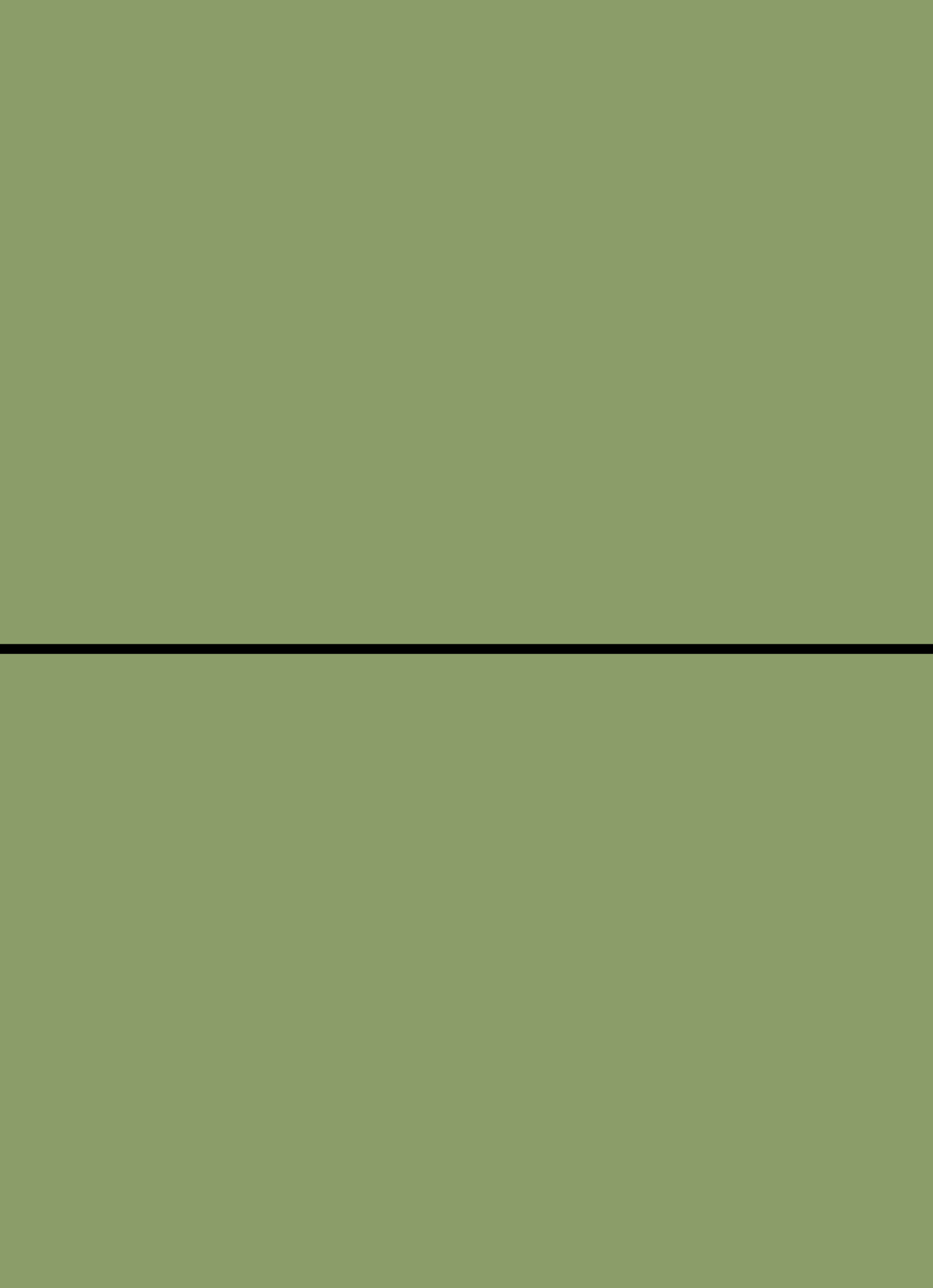 Digital mockup of an invitation straight style pocket in a metallic green color.