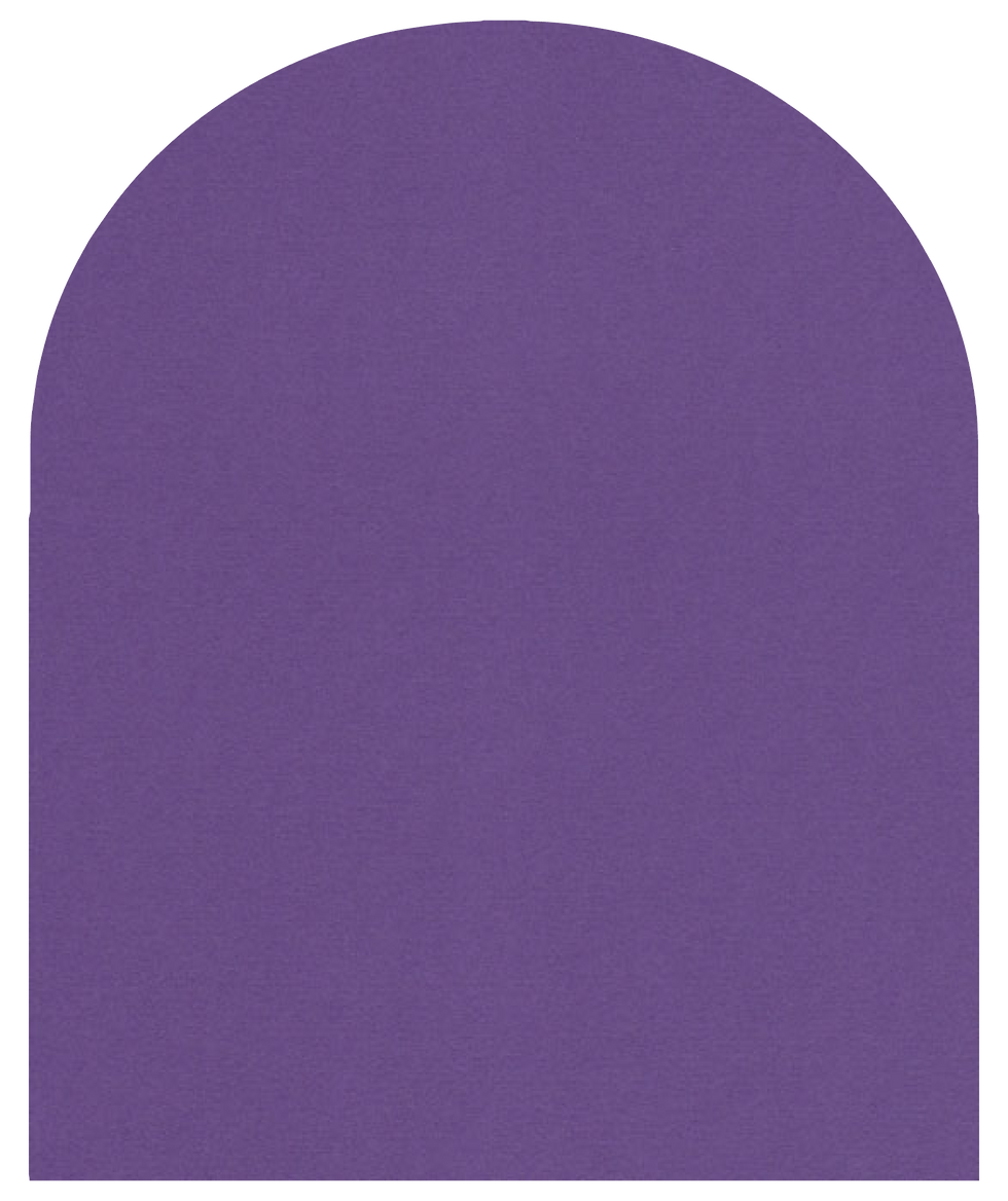 Blank Arch Liners Purple