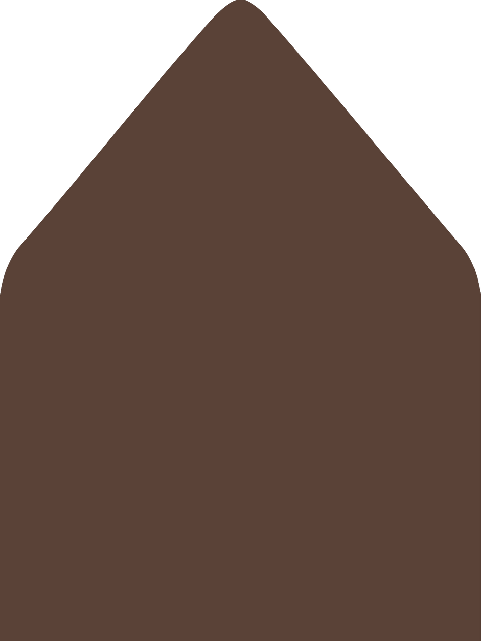 Digital mockup of a standard style envelope liner in a brown color.