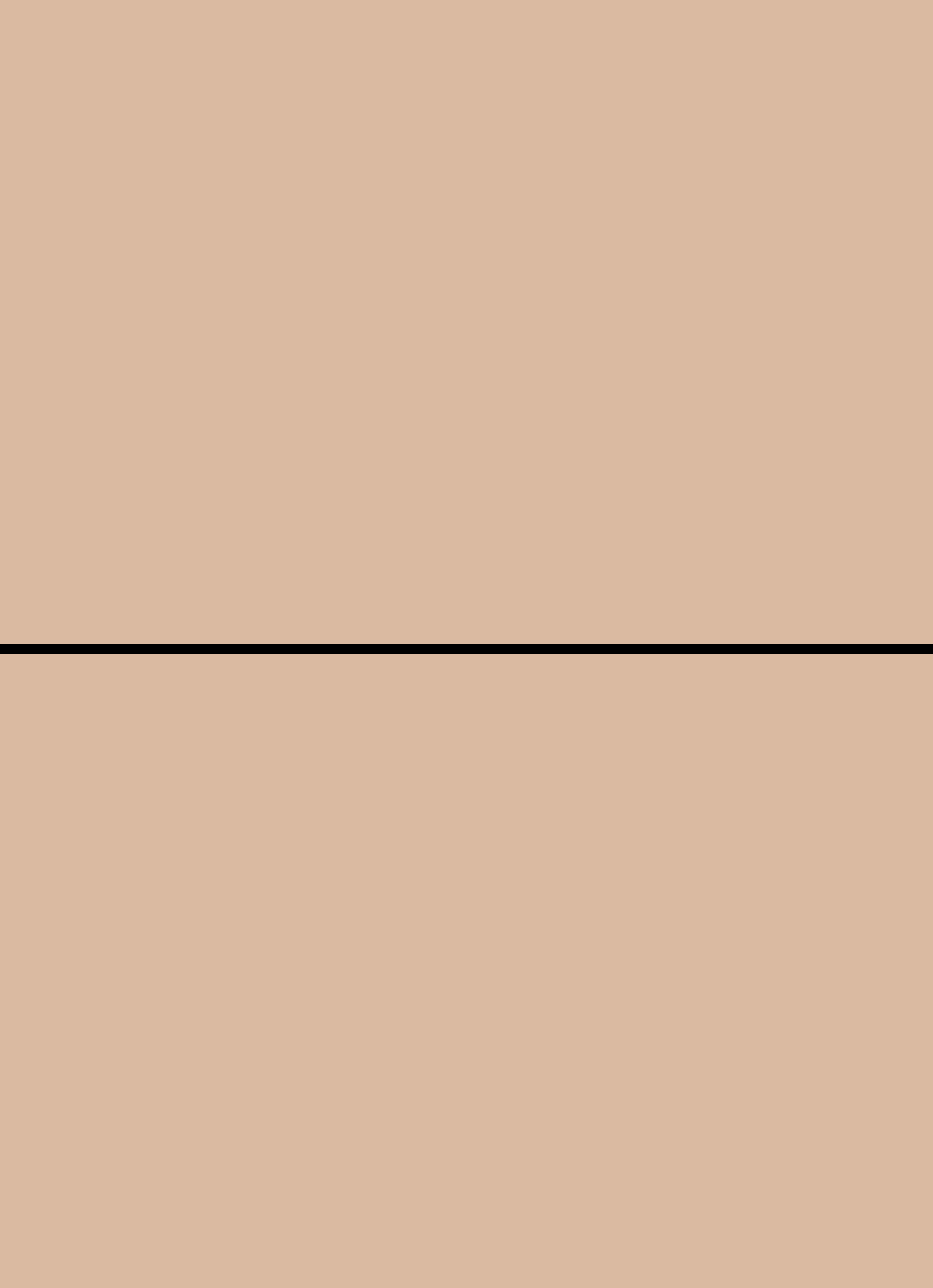 Digital mockup of an invitation straight style pocket in a warm stone color.
