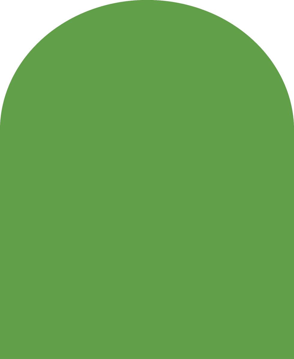 Digital mockup of an arch style envelope liner in a cactus green color.