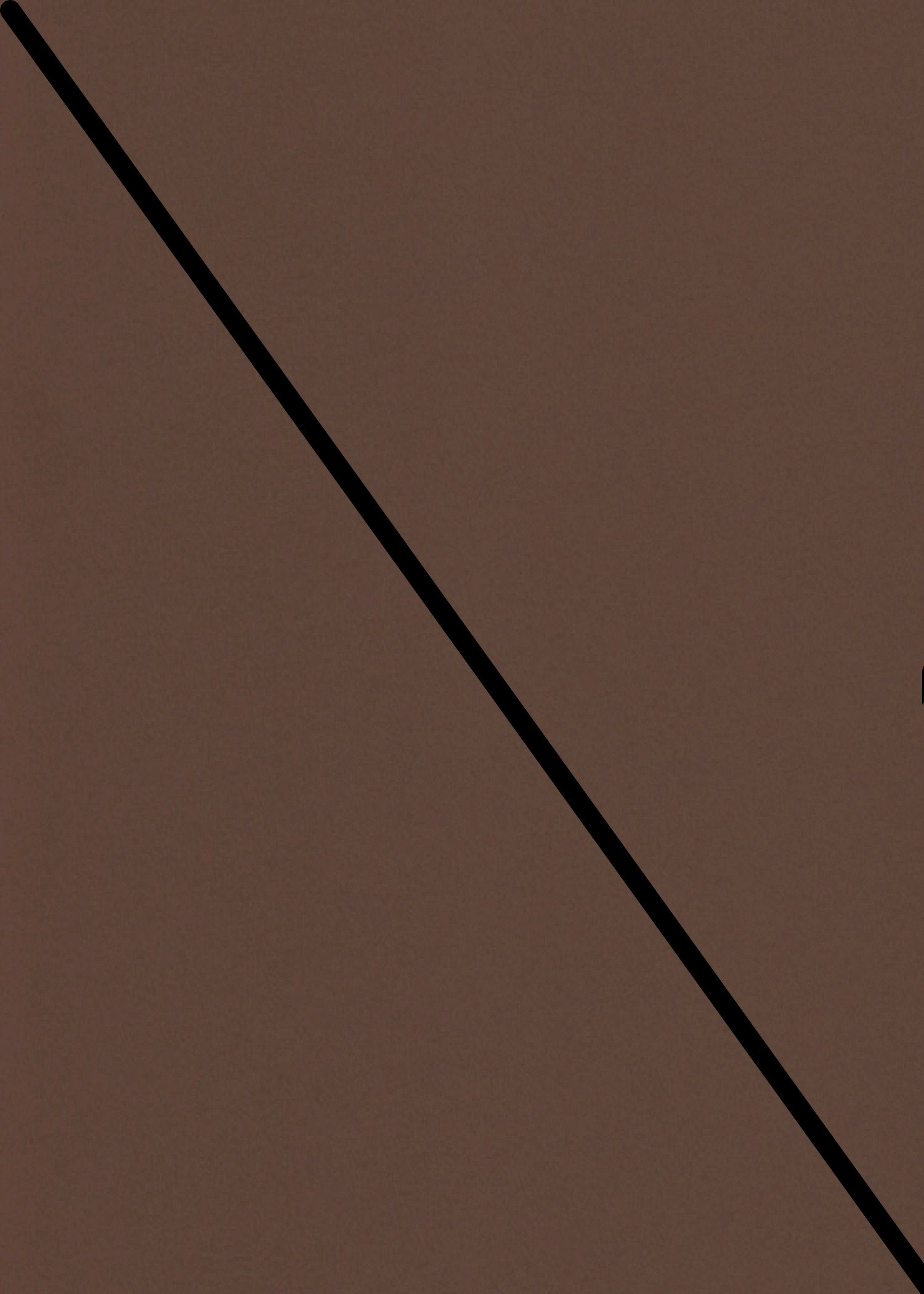 Digital mockup of an angle style wedding invitation pocket in a brown color.