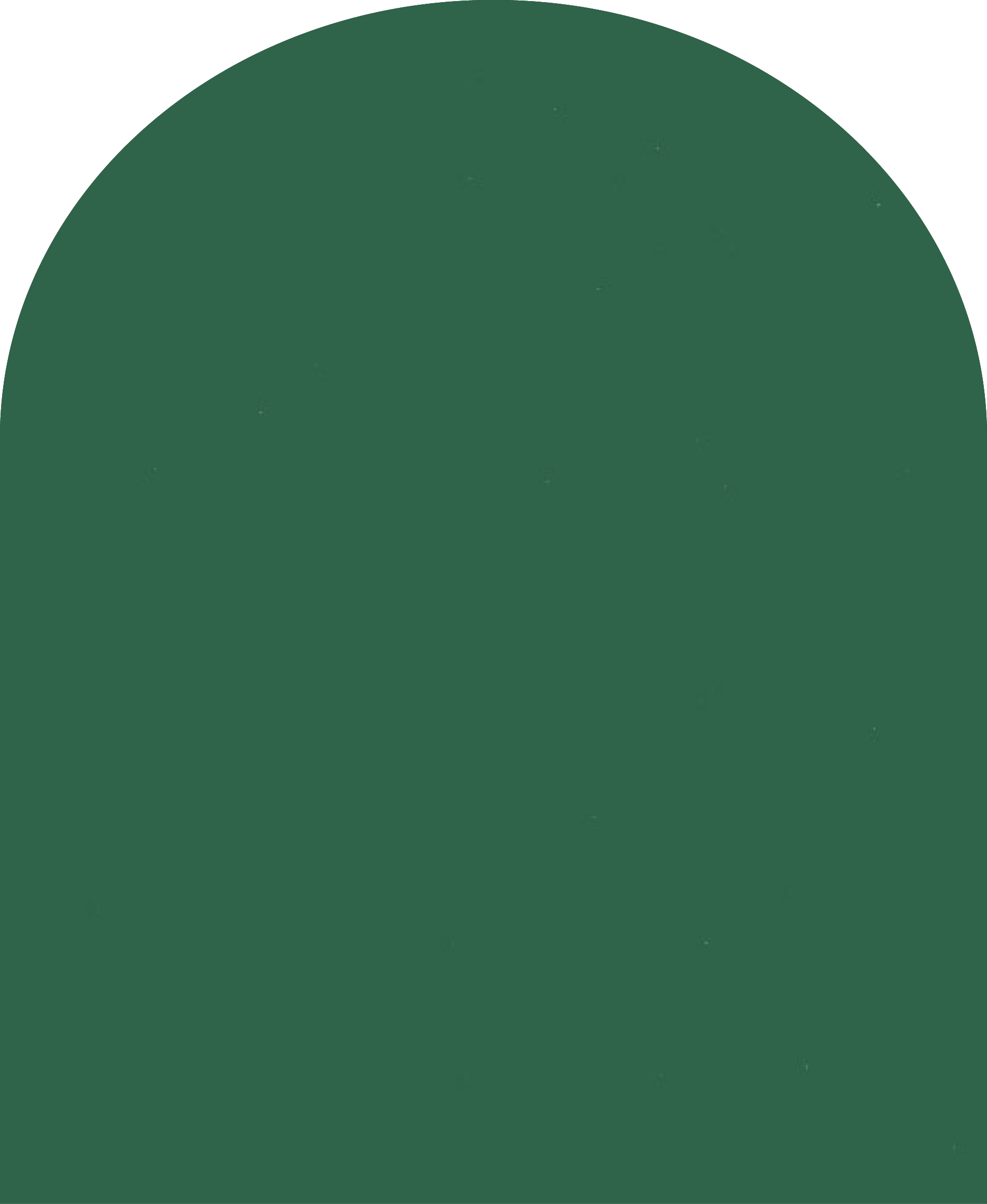 Digital mockup of an arch style envelope liner in a forest green color.