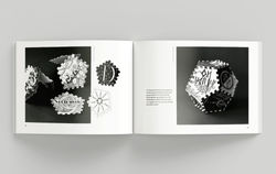 Katalog zur Präsentation des Lehrumfangs des Fachs "Schriftgrafik" | Semper Schulen Dresden | 2020