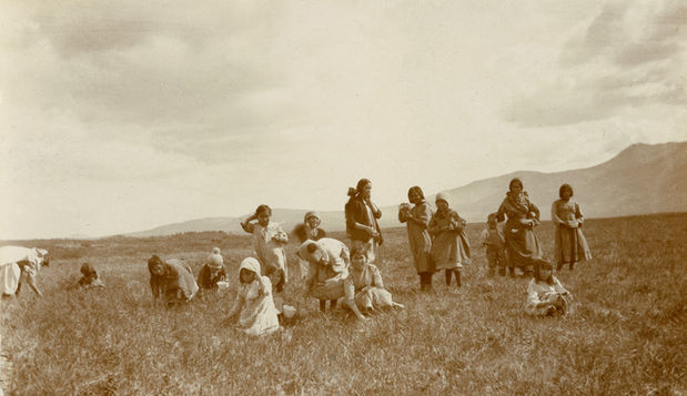 berry picking