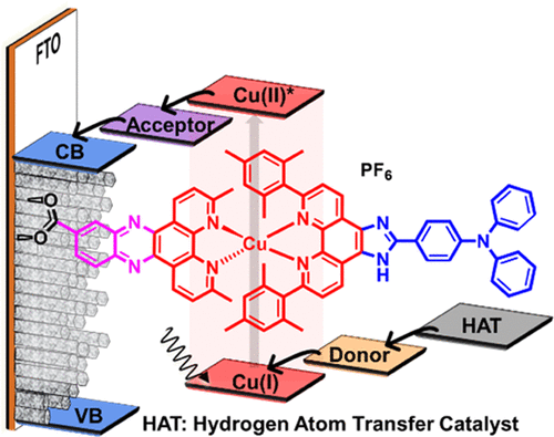 A thorough study of copper(I)-based photosensitizer for a photoelectrochemical cells publsihed.