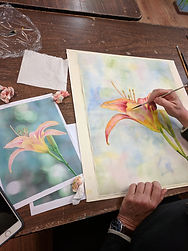 Senior Watercolor