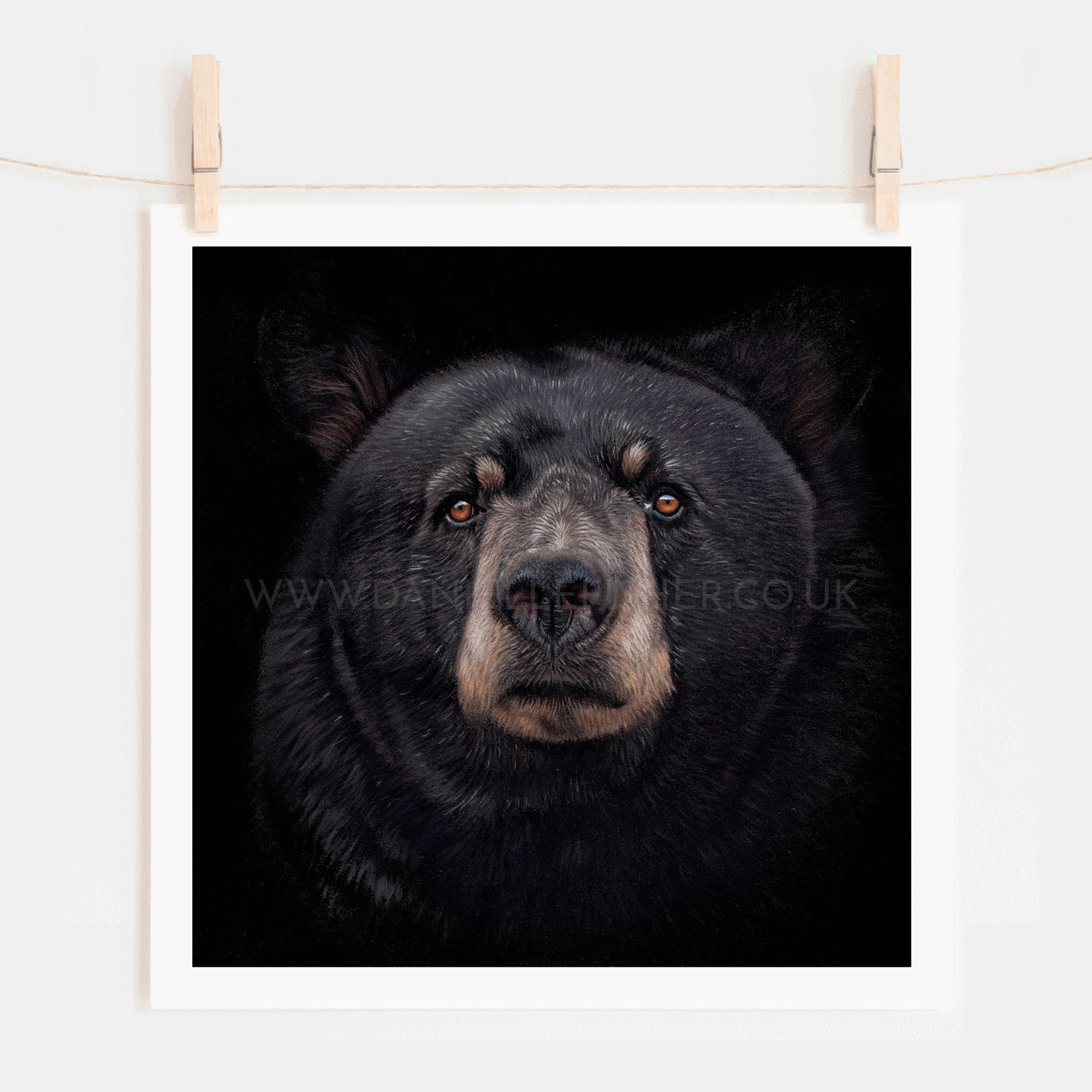 Midnight Gaze - Open Edition Print