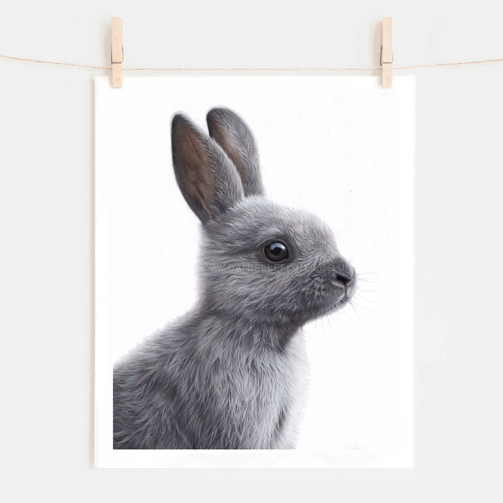Thumbnail: Bunny