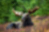 14e7710c-a918-4d9f-8ceb-edcda5055b9d.jpeg