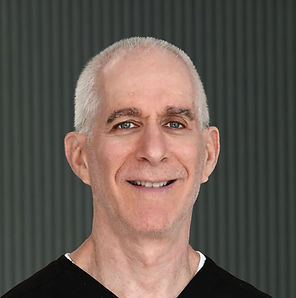 Dr. Steven M. Hamburg Chiropractic Physician