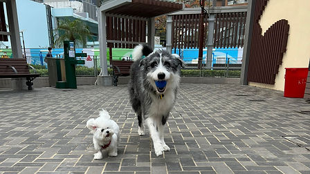 WhatsApp Image 2024-10-03 at 17.14.26.jpeg