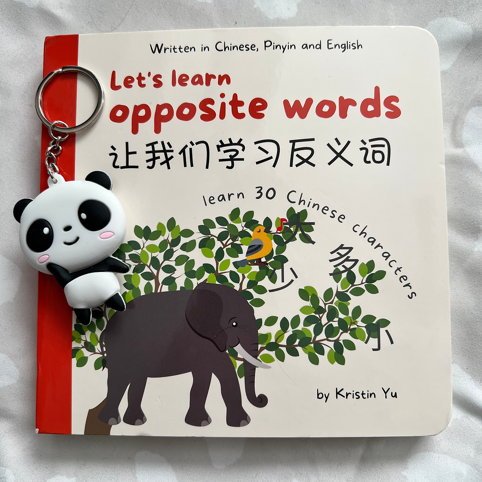 Let's Learn Opposite Words book cover