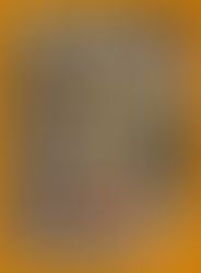 Chamber Luncheon Featured Member Non-Profits