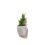 Thumbnail: Gardening Pot