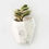 Thumbnail: Gardening Pot