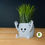 Thumbnail: OK Hand Sitting Pot