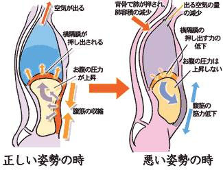 正しい姿勢の説明