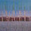 Thumbnail: Rhythm Of Life"